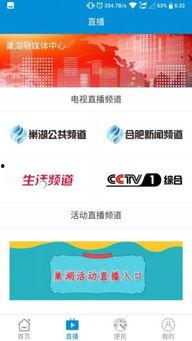 巢湖新闻爆料网站大全,一网打尽本地资讯平台  第2张